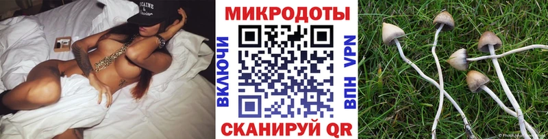 omg ссылка  Буй  Псилоцибиновые грибы мицелий 